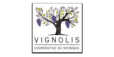 Vignolis